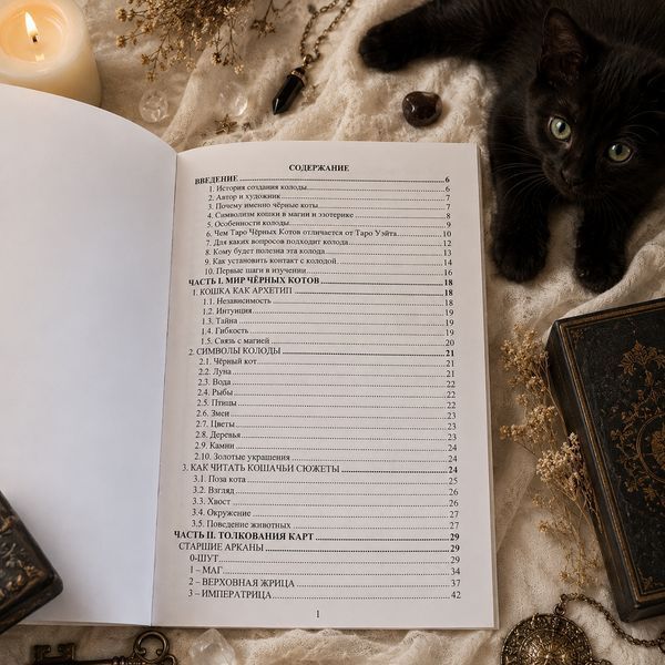Книга &laquo;Таро Чёрных Котов&raquo;. Полное руководство по колоде КнЧернКот-1 фото