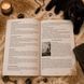 Книга &laquo;Таро Чёрных Котов&raquo;. Полное руководство по колоде КнЧернКот-1 фото 7