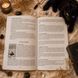 Книга &laquo;Таро Чёрных Котов&raquo;. Полное руководство по колоде КнЧернКот-1 фото 5