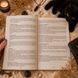 Книга &laquo;Таро Чёрных Котов&raquo;. Полное руководство по колоде КнЧернКот-1 фото 6
