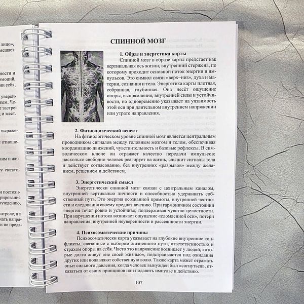 Книга к оракулу &laquo;Энергия Парацельса&raquo; КНорЭнерПарац-1 фото
