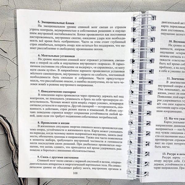 Книга к оракулу &laquo;Энергия Парацельса&raquo; КНорЭнерПарац-1 фото