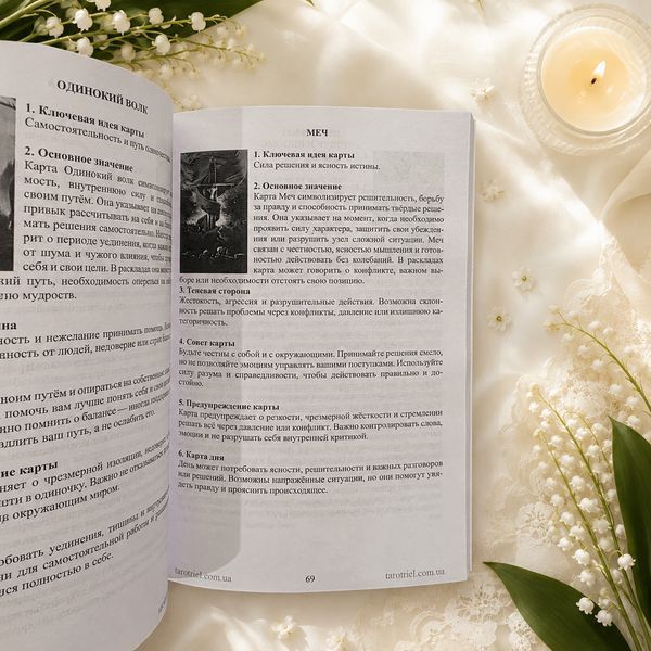 Инструкция-руководство к оракулу &laquo;Хранительница&raquo; ИнХранит-1 фото