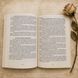 Самоучитель по работе со спиритической доской &mdash; полное практическое руководство КнСпиритДоска-1 фото 10